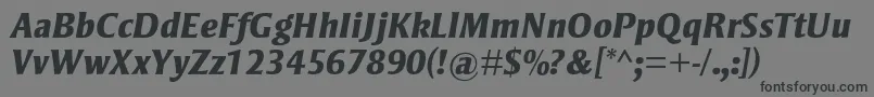 StrayhornmtstdExtraboldit Font – Black Fonts on Gray Background