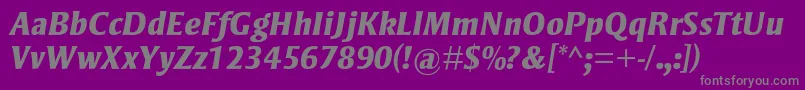 StrayhornmtstdExtraboldit Font – Gray Fonts on Purple Background