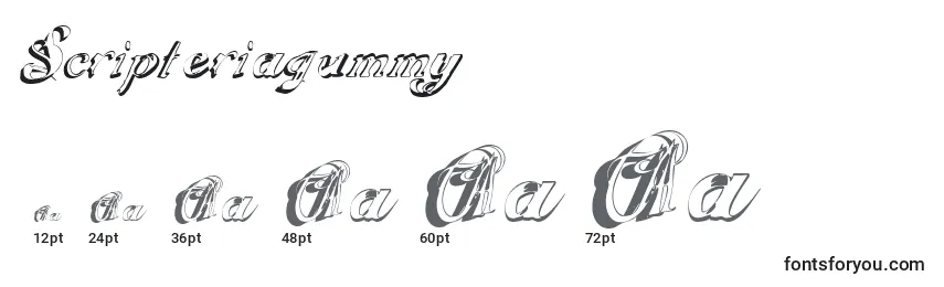 Scripteriagummy Font Sizes