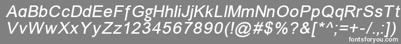 ErUnivers866Italic Font – White Fonts on Gray Background