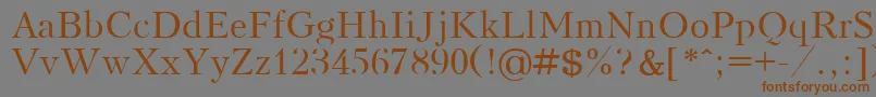 フォントKudrashovPlain.001.001 – 茶色の文字が灰色の背景にあります。