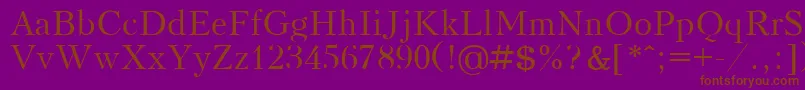 KudrashovPlain.001.001 Font – Brown Fonts on Purple Background