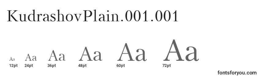 KudrashovPlain.001.001 Font Sizes