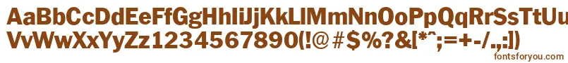 PlymouthserialHeavyRegular Font – Brown Fonts on White Background