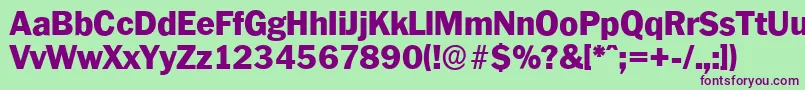 PlymouthserialHeavyRegular Font – Purple Fonts on Green Background