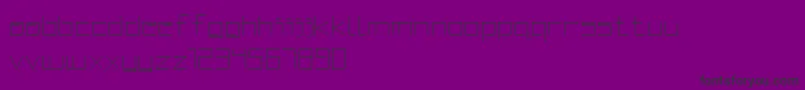SquaredDisplay Font – Black Fonts on Purple Background