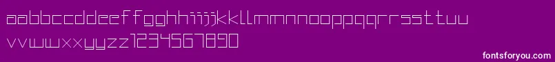 SquaredDisplay Font – White Fonts on Purple Background