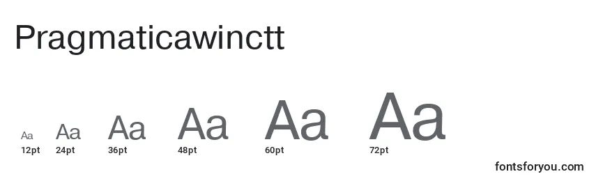 Размеры шрифта Pragmaticawinctt