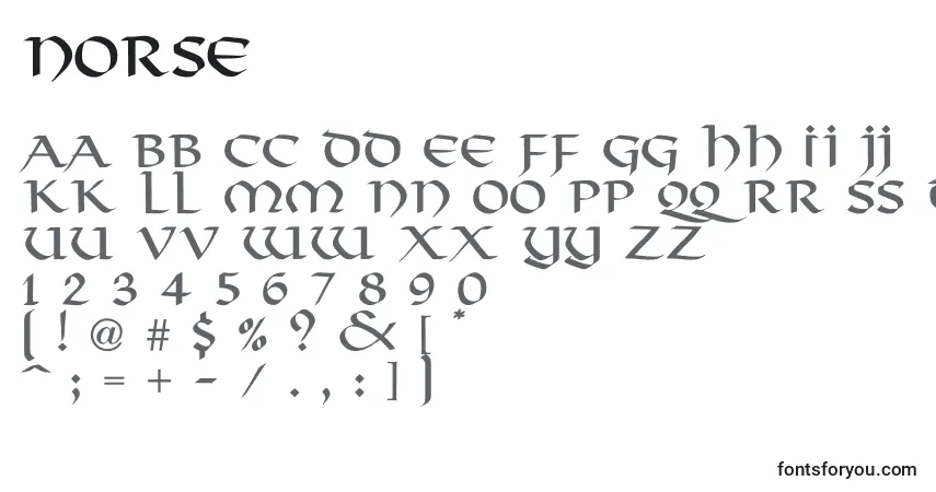 Schriftart Norse (78205) – Alphabet, Zahlen, spezielle Symbole