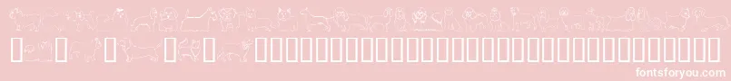 Puppins ffy Font – White Fonts on Pink Background