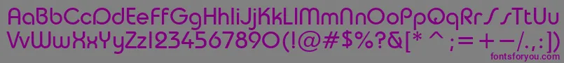 TaurusNormal Font – Purple Fonts on Gray Background