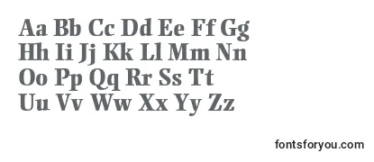 Review of the EllingtonmtstdExtrabold Font