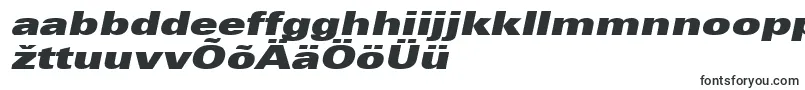 Police UniversLt93ExtraBlackExtendedOblique – polices estoniennes