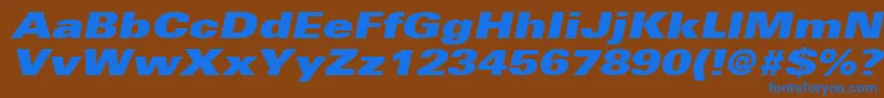 UniversLt93ExtraBlackExtendedOblique Font – Blue Fonts on Brown Background