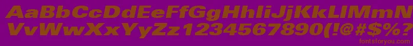 UniversLt93ExtraBlackExtendedOblique Font – Brown Fonts on Purple Background