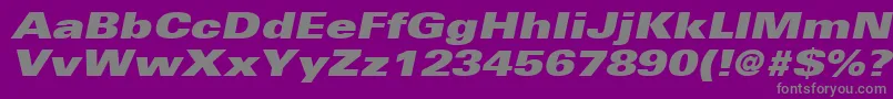 UniversLt93ExtraBlackExtendedOblique Font – Gray Fonts on Purple Background