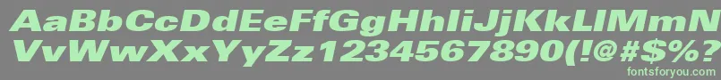 UniversLt93ExtraBlackExtendedOblique Font – Green Fonts on Gray Background