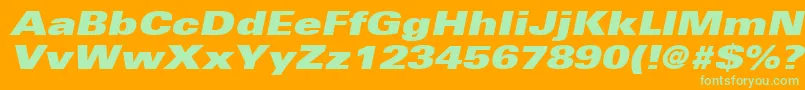 UniversLt93ExtraBlackExtendedOblique Font – Green Fonts on Orange Background