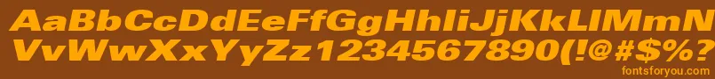 UniversLt93ExtraBlackExtendedOblique Font – Orange Fonts on Brown Background
