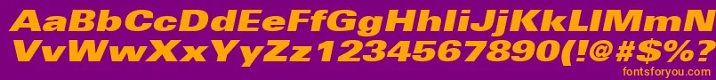 UniversLt93ExtraBlackExtendedOblique Font – Orange Fonts on Purple Background