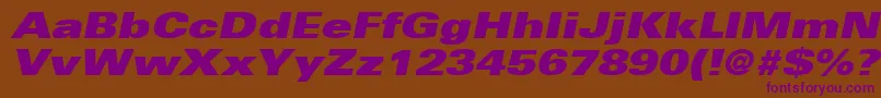 UniversLt93ExtraBlackExtendedOblique Font – Purple Fonts on Brown Background
