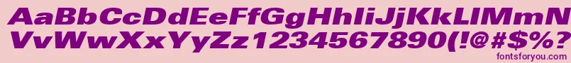 UniversLt93ExtraBlackExtendedOblique Font – Purple Fonts on Pink Background