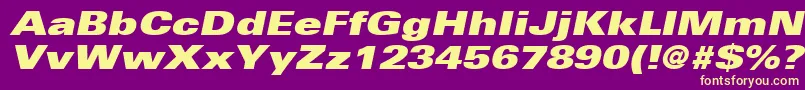 UniversLt93ExtraBlackExtendedOblique Font – Yellow Fonts on Purple Background