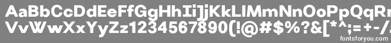 VillerayUltrabold-Schriftart – Weiße Schriften auf grauem Hintergrund