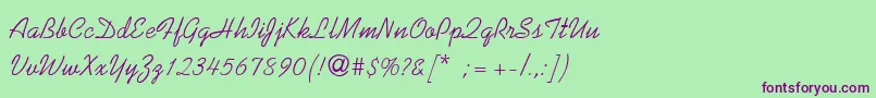 KaufmannThin Font – Purple Fonts on Green Background