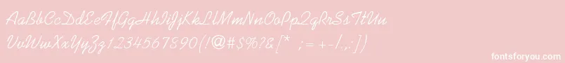 KaufmannThin-Schriftart – Weiße Schriften auf rosa Hintergrund