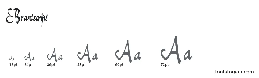 Größen der Schriftart EBrantscript