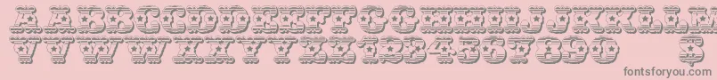 WildWestUsa-Schriftart – Graue Schriften auf rosa Hintergrund