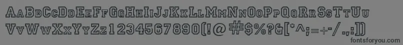 LettermanRegular Font – Black Fonts on Gray Background