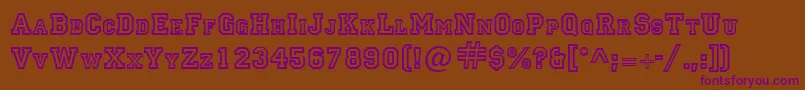 LettermanRegular Font – Purple Fonts on Brown Background