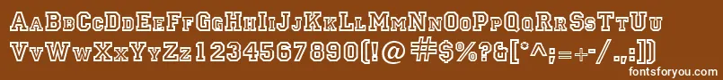 LettermanRegular Font – White Fonts on Brown Background