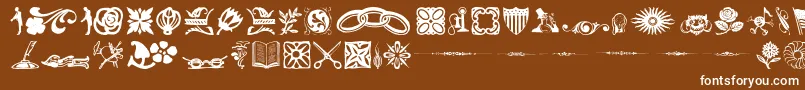 Davysdingbats Font – White Fonts on Brown Background