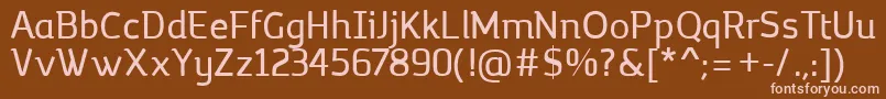 MargotRegular Font – Pink Fonts on Brown Background