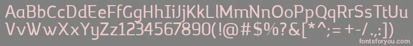 MargotRegular Font – Pink Fonts on Gray Background