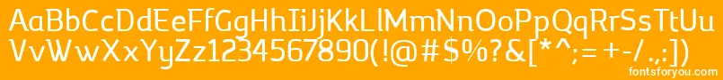 MargotRegular Font – White Fonts on Orange Background