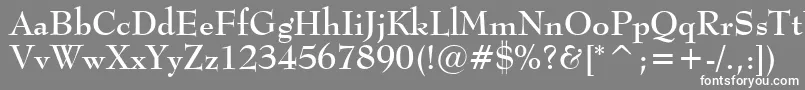 フォントMonitorSsiBold – 灰色の背景に白い文字