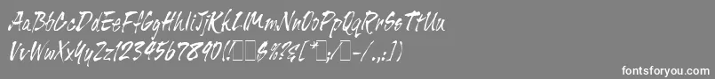 TigerRagLetPlain.1.0 Font – White Fonts on Gray Background