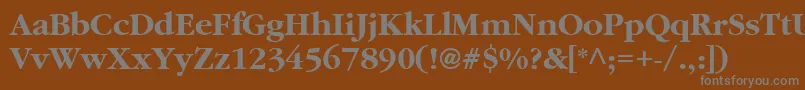 フォントAggaramondCyrBold – 茶色の背景に灰色の文字