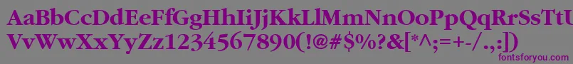 AggaramondCyrBold Font – Purple Fonts on Gray Background