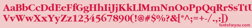 AggaramondCyrBold-Schriftart – Rote Schriften auf rosa Hintergrund