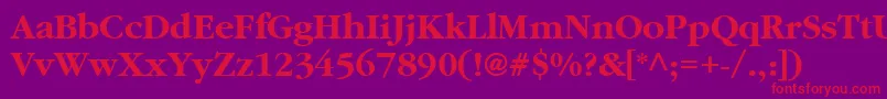 AggaramondCyrBold Font – Red Fonts on Purple Background