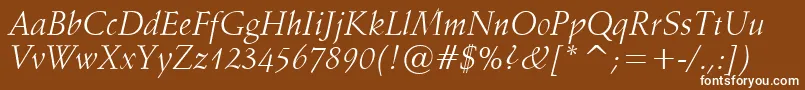 フォントVaniel1Italic – 茶色の背景に白い文字