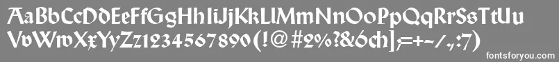WallabyRegularDb Font – White Fonts on Gray Background