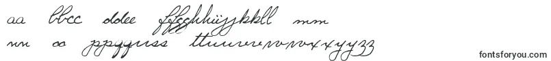 Ginette Font – Polish Fonts