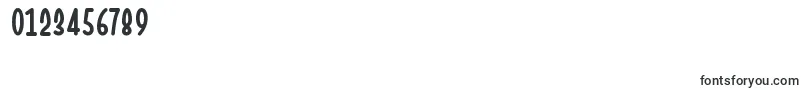 ChesanRegular Font – Fonts for Numbers and Digits