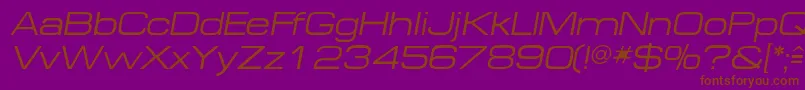 Czcionka MichaeldbItalic – brązowe czcionki na fioletowym tle